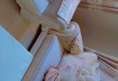 IMG-20221224-WA0061-1