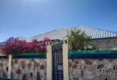 IMG-20230216-WA0012