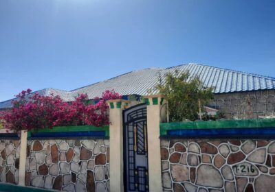 IMG-20230216-WA0012